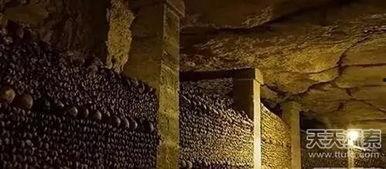 地下墓穴在线观看,地下墓穴在线观看之旅